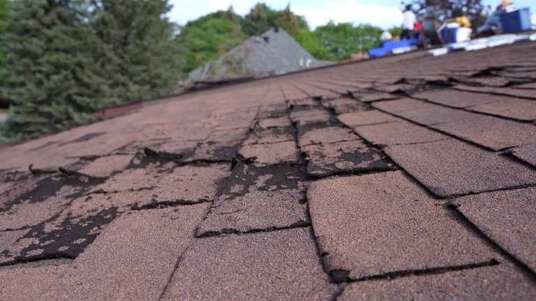 Best Emergency Roof Repair Services  in Tinley Park, IL