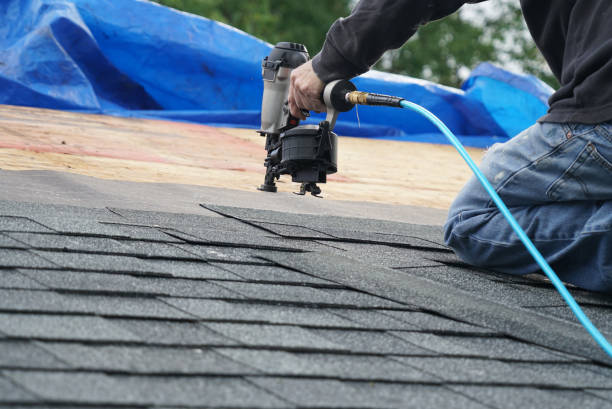 Best Roof Moss and Algae Removal  in Tinley Park, IL