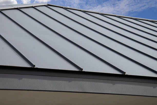 Best Skylight Installation and Repair  in Tinley Park, IL