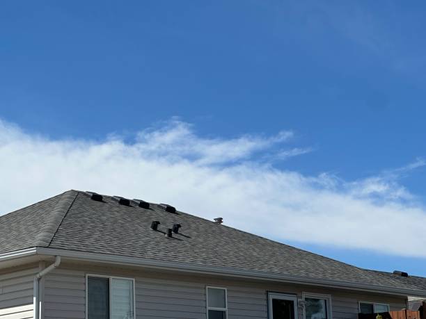 Best Wood Shake Roofing  in Tinley Park, IL